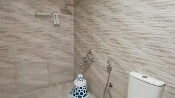 Douche, serviettes fournies, shampoing