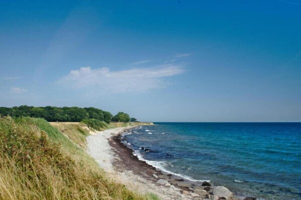 Nära stranden