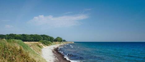 Nära stranden