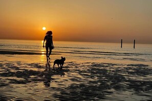 En strandscene med en person og en hund, der går langs kysten i solnedgang.