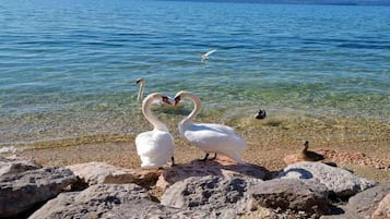 Una spiaggia nelle vicinanze