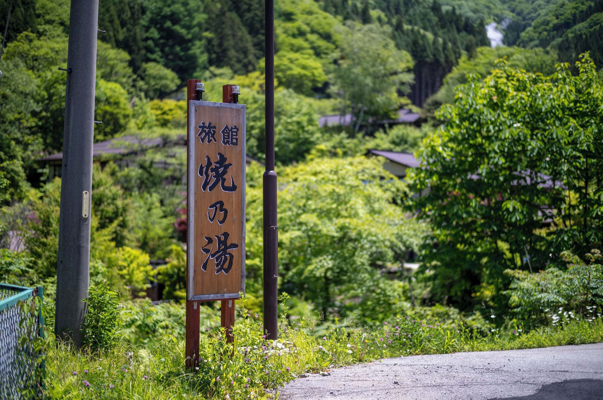 A wooden sign with Japanese characters, surrounded by lush greenery and a road.