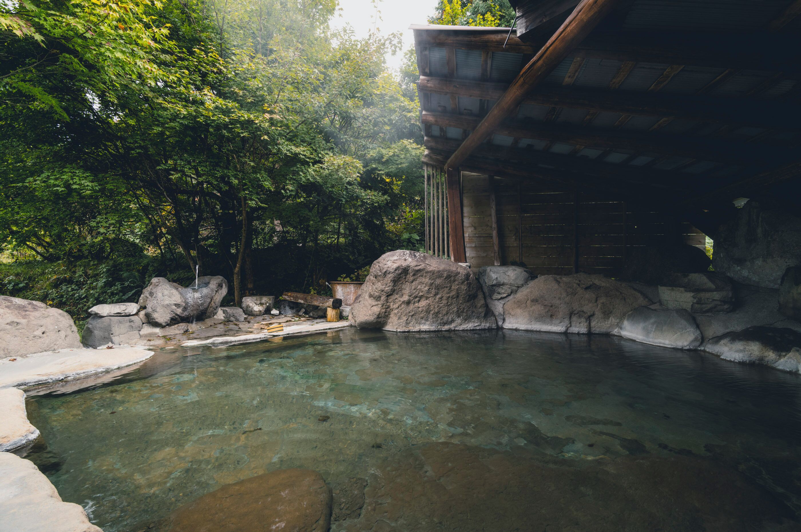 A traditional Japanese onsen with a clear hot spring surrounded by rocks and trees.