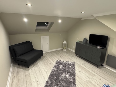 A modern loft-style room with a black sofa, a grey cabinet with a flat-screen TV, a white door, and a skylight.