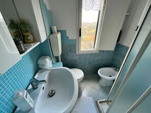 Shower, hair dryer, bidet, towels
