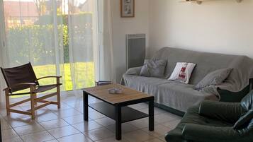 Televisión, chimenea y libros