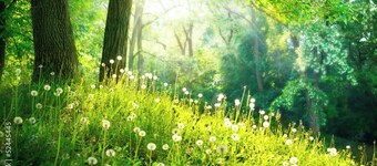 Time share lodge on Scotland for all ages .