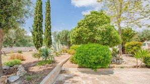 Un jard ín con diversas plantas, un sendero pavimentado y un muro de piedra.