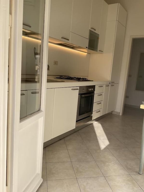 Classic Apartment, Balcony, City View | Private kitchen | Full-size fridge