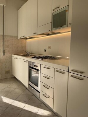 Classic Apartment, Balcony, City View | Private kitchen | Full-size fridge