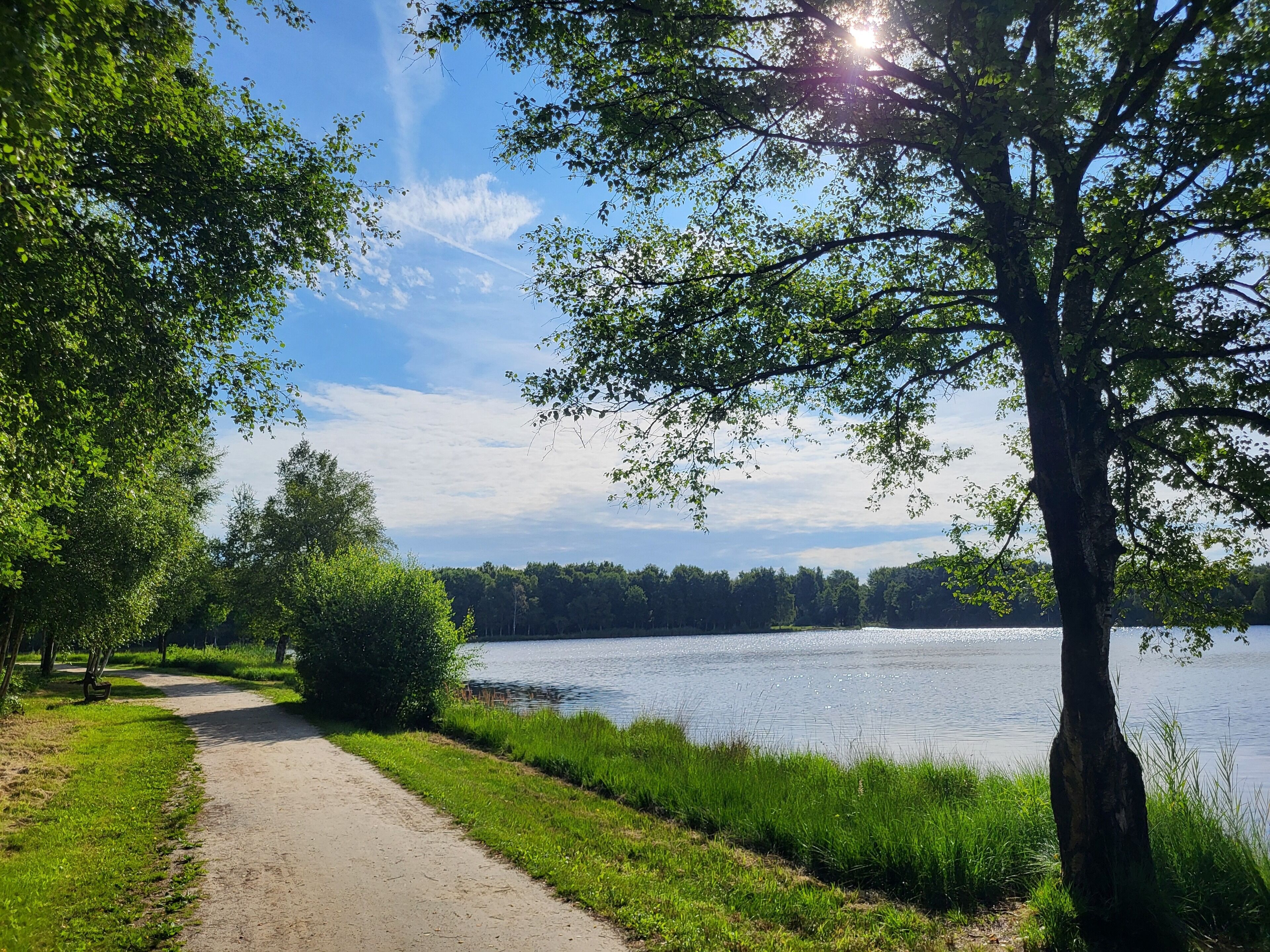 A paved path alongside a lake with trees and a clear sky.