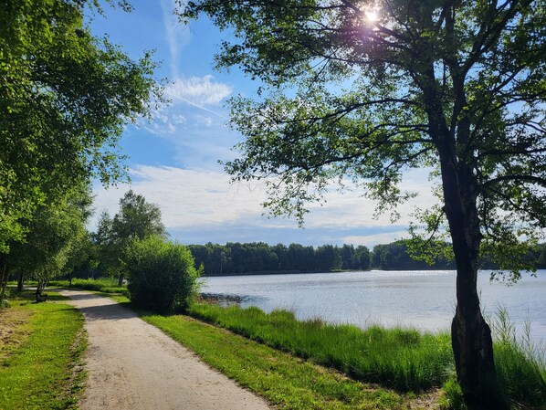 Un sendero pavimentado a orillas de un lago, con árboles y cielo despejado.