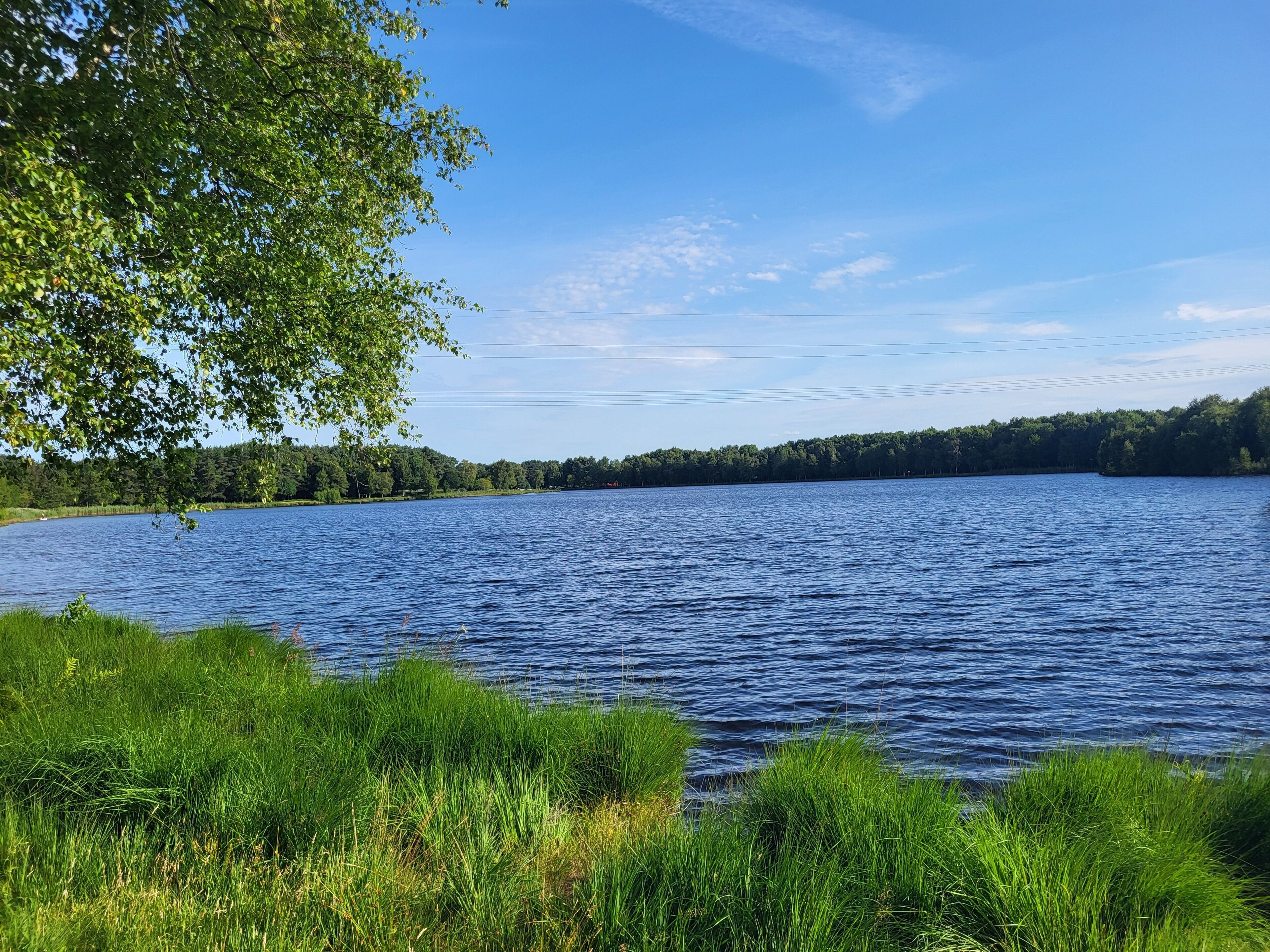Ein See mit Uferwiesen und Bäumen im Hintergrund.