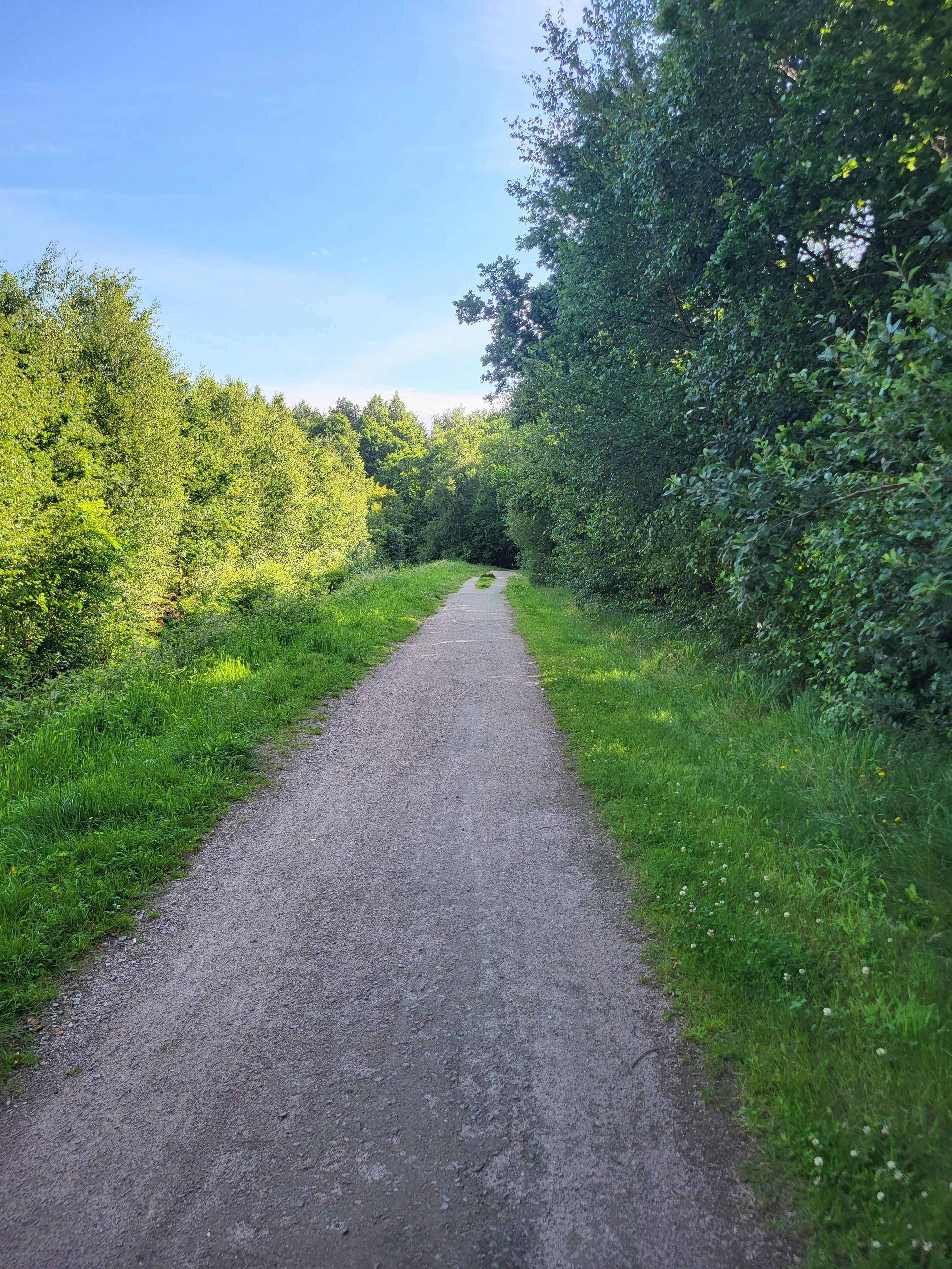 A gravel path flanked by dense greenery and trees.