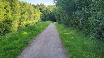 A gravel path flanked by dense greenery and trees.