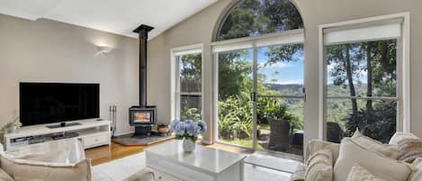 Smart TV, fireplace, DVD player, books