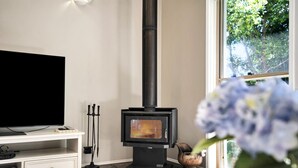 A modern living room with a black wood-burning stove, a television on a white stand, and a window with a view of trees.