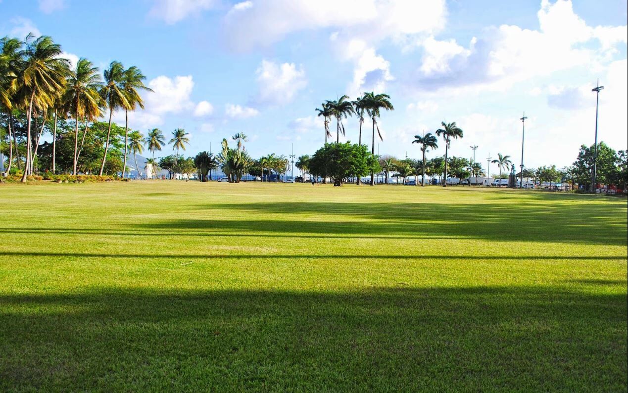 A well-maintained grassy field with palm trees and a clear sky.
