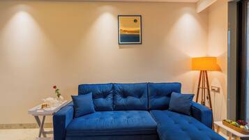 55-inch LCD TV with satellite channels