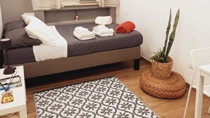 A bedroom with a bed, a TV, a plant, and a patterned rug.