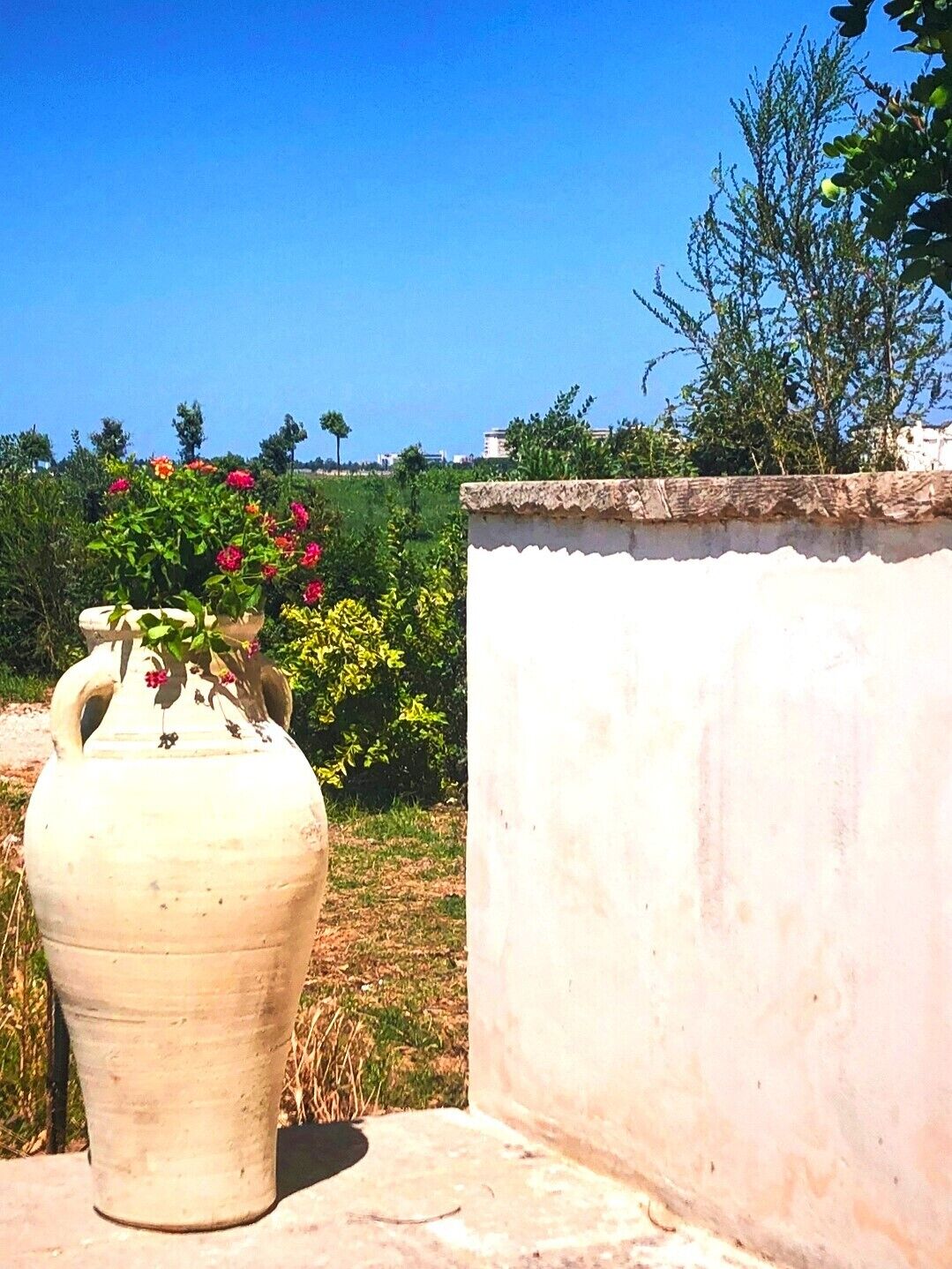 Una maceta blanca de cerámica grande con flores sobre una superficie de concreto, junto a una pared blanca con borde superior texturizado.