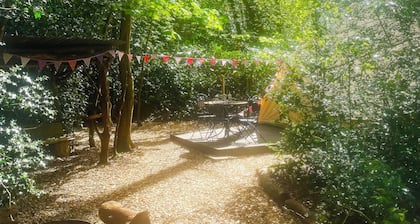 Spacious and cosy 6 meter Bedouin Bell Tent in a secluded woodland clearing