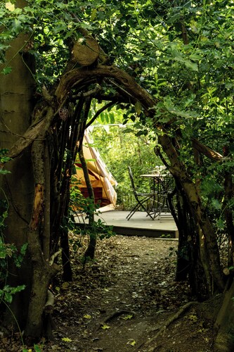 Spacious and cosy 6 meter Bedouin Bell Tent in a secluded woodland clearing