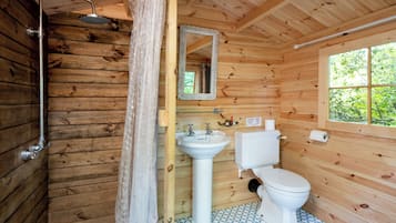 Shower, towels, toilet paper