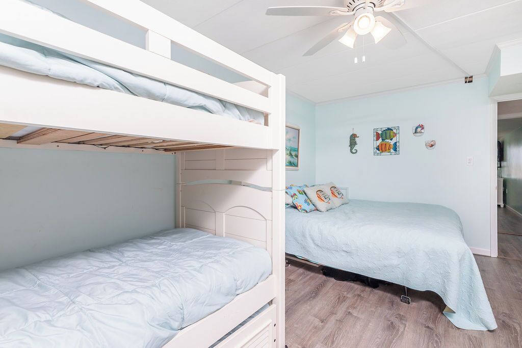 A bunk bed room with a ceiling fan, light blue walls, and a wooden floor.