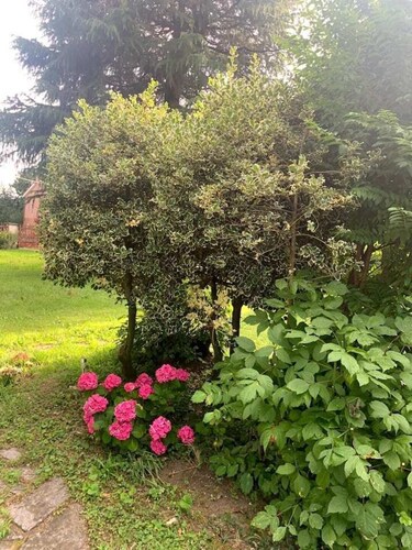 "Loft" apartment in Villa Vittorio Veneto