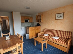 TV - Family studio, pets allowed, at foot of slopes (Les Deux Alpes)