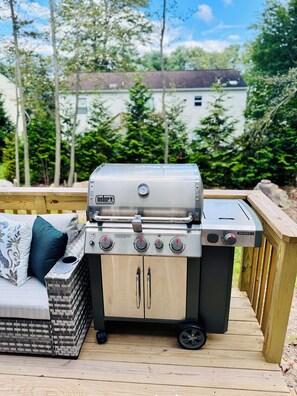 Property grounds - Spacious 4BR house, near water parks and Premium outlets, pools, lake, kayak. (Coolbaugh)