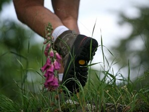 A pair of hiking boots with a yellow heel, surrounded by grass and a pink flower. - Lilas Room in Alleyras - Pets allowed, Guest table, Spacious grounds (Alleyras)