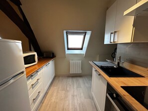 Fridge, microwave, oven, stovetop - Central T2 with WIFI and free parking in La Roche-Posay (La Roche-Posay)