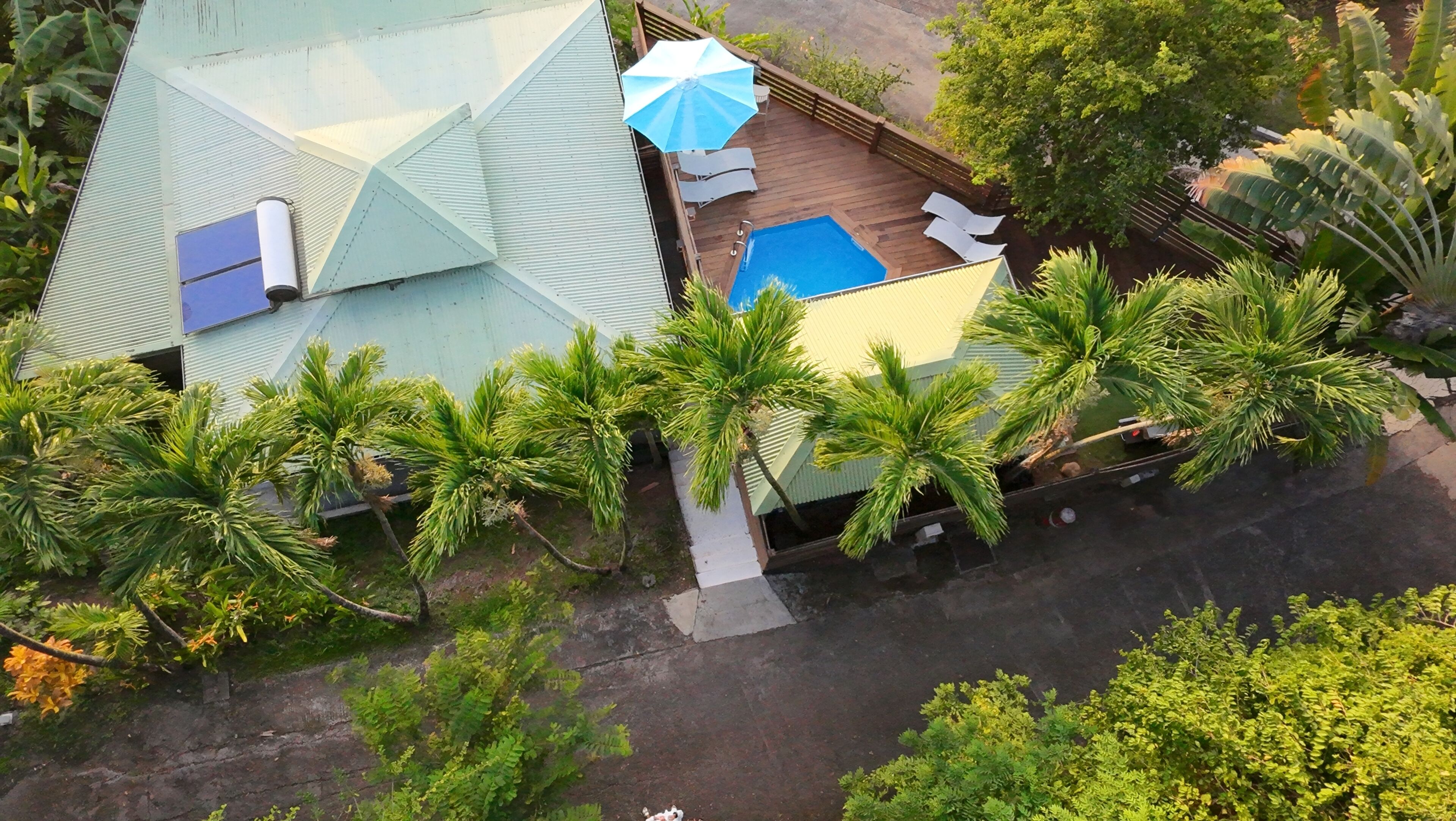 An aerial view of a house with a swimming pool, surrounded by palm trees and a deck with lounge chairs.