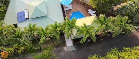 An aerial view of a house with a swimming pool, surrounded by palm trees and a deck with lounge chairs.