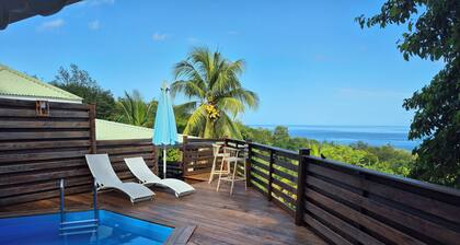 Villa Cannelle Pointe Batterie, sea view, pool, 3 bedrooms