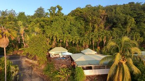 A bungalow with a thatched roof, surrounded by dense tropical vegetation and palm trees. - Villa Cannelle Pointe Batterie, sea view, pool, 3 bedrooms (DESHAIES)