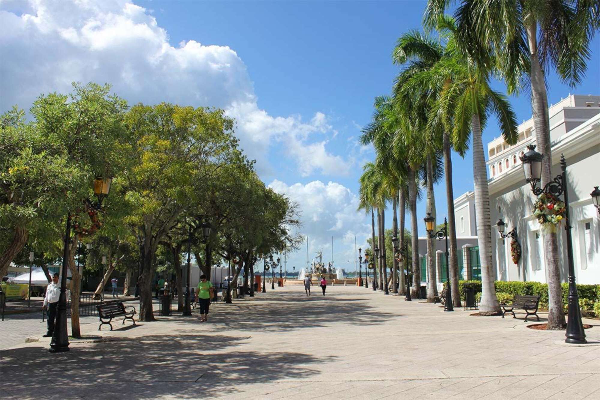 A wide pedestrian promenade lined with palm trees and benches, leading to a waterfront area.