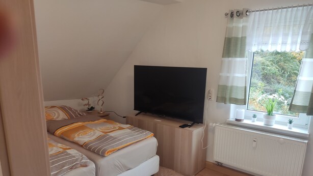 Une chambre à coucher avec un lit, une télévision, une fenêtre avec des rideaux et un radiateur.