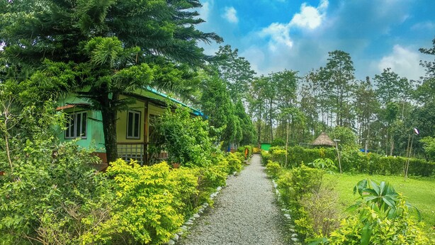 A pathway flanked by lush greenery and a small building with a thatched roof. - Bon Holong Resort  (Alipurduar)