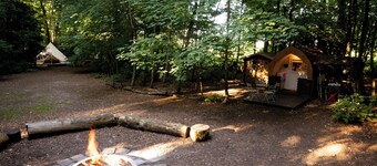 Spacious and cosy 6 meter themed Moroccan Bell Tent in a woodland clearing