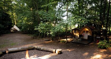 Spacious and cosy 6 meter themed Moroccan Bell Tent in a woodland clearing