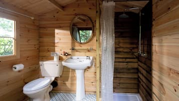 Shower, towels, toilet paper