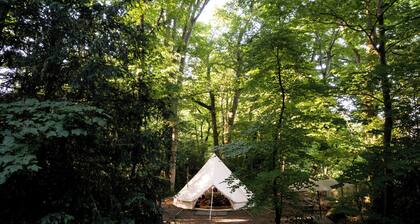 Spacious and cosy 6 meter themed Moroccan Bell Tent in a woodland clearing
