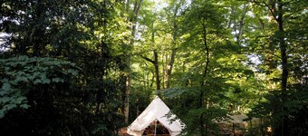 Spacious and cosy 6 meter themed Moroccan Bell Tent in a woodland clearing