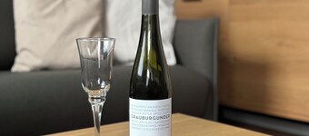 Only a few meters to the beach, dogs are welcome