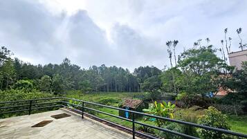 ファミリー スタジオ バルコニー ガーデンビュー | テラス / パティオ