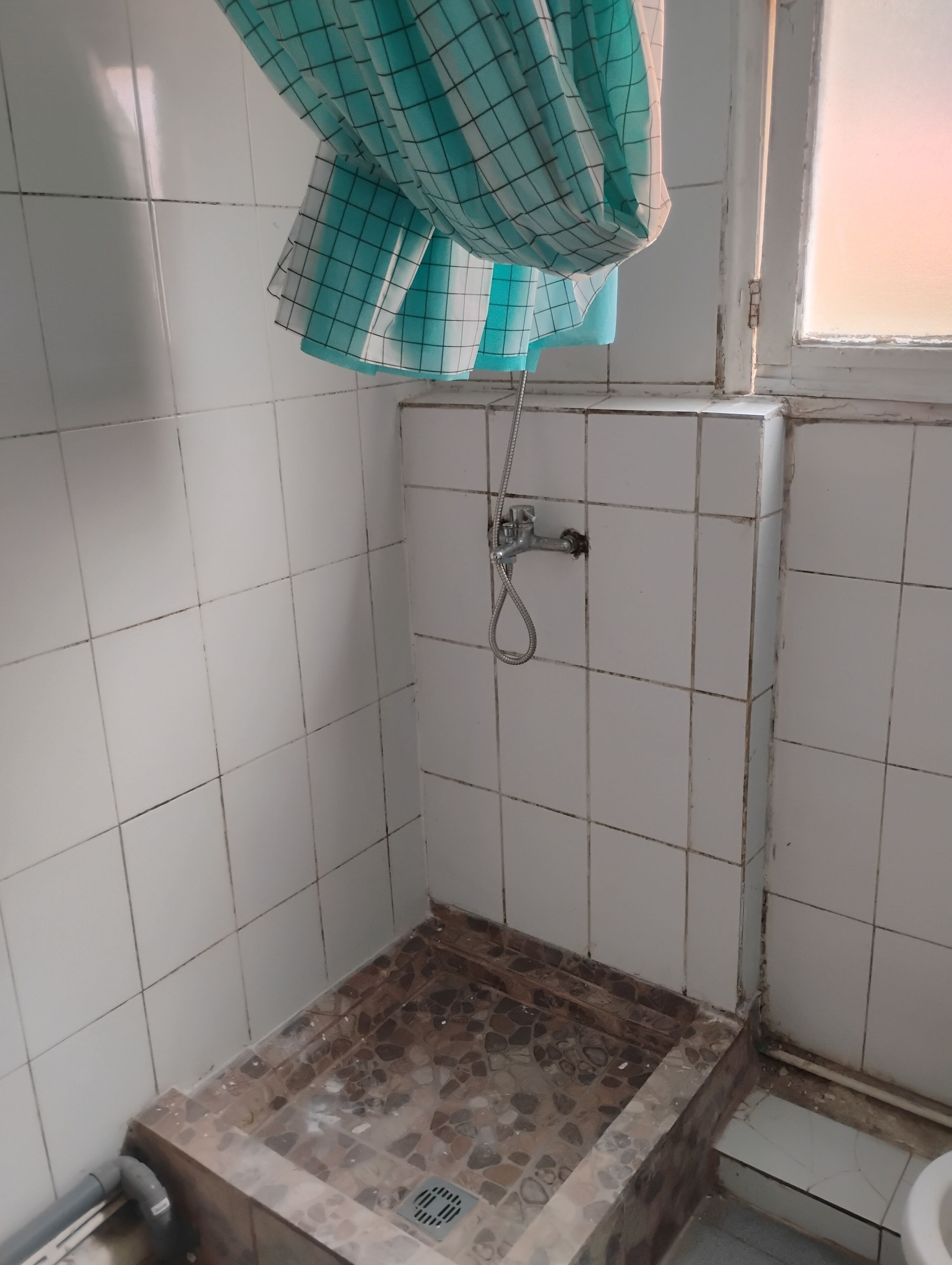 Ducha, jabón y papel higiénico