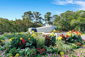 Terrain de l’hébergement 